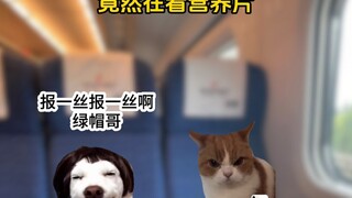 欢迎大家来看帽哥和帽姐
