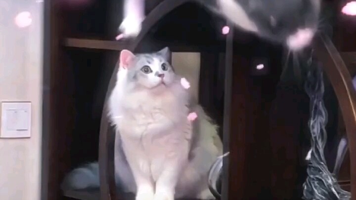 As soon as I ducked my head, he was the one who got unlucky.