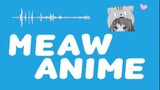 [INTRO] Meaw Anime
