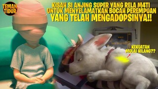 TIDAK PUNYA KEKUATAN, ANJING SUPER RELA BERKORBAN UNTUK BOCAH INI!!