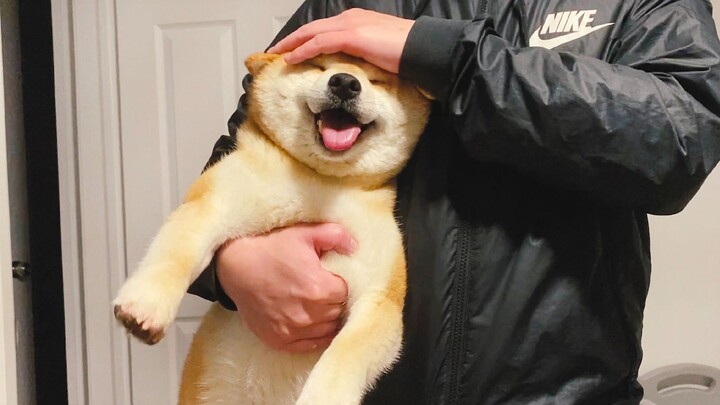 ชิบะเจอพลุจุด กลัวจนต้องพิมพ์ความน่ารักลงในแชทสาธารณะ!