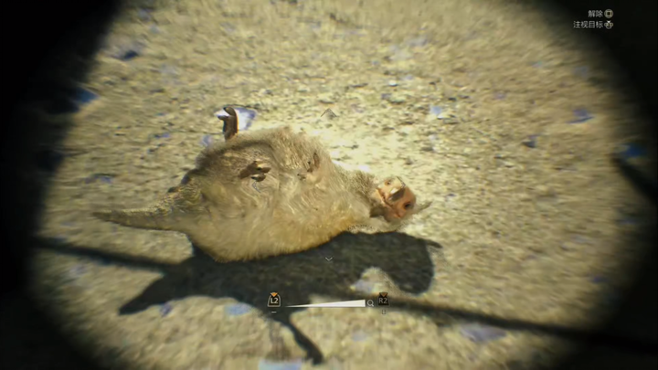 Chubby baby, chubby baby—so cute and so chubby!