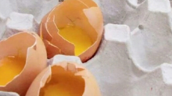 Chú cún thật sự yêu thế giới này biết bao!