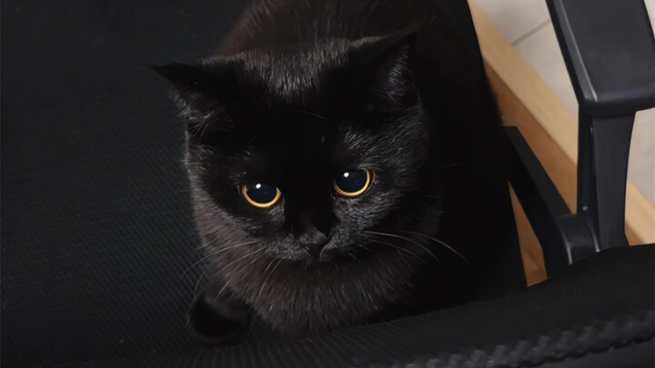 Hmm hmm hmm, lucu banget! Cuma mainnya agak pegel tangan sih!