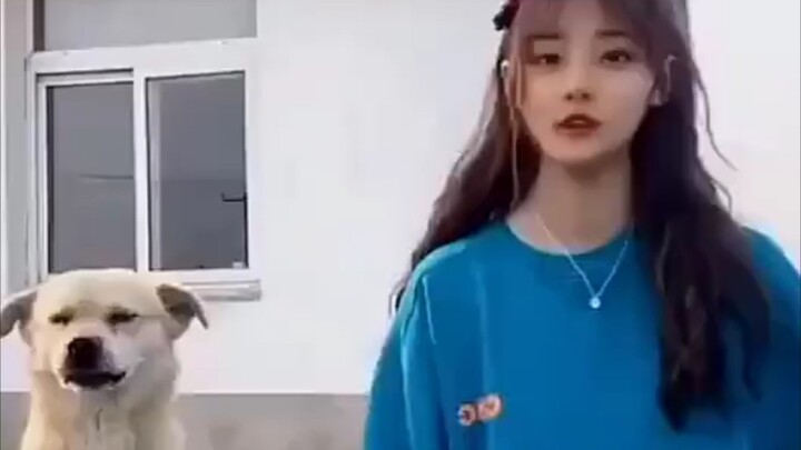 ⚡ 开局一条狗 ⚡