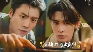 🇨🇳🔴[Bromance] Wildfire by daylight ...full version 🌟🏵