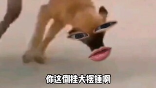 我错了错了驴大哥