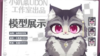 【Live2d模型展示】缅因猫不是缅甸猫！！