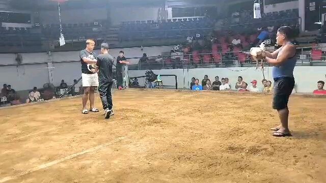 2 HITS SA COLOSEO DE MANILA 30K PER CHAMPION..1ST FIGHT LOSS...2ND FIGHT WIN..