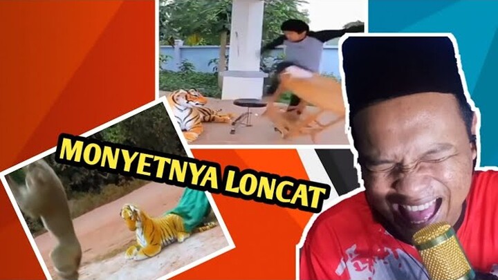 PRANK HEWAN PAKE BONEKA HARIMAU