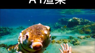 【深海迷航】游戏画面和AI渲染画面对比