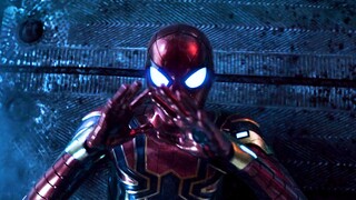 Ternyata sensor laba-laba milik si kecil laba-laba juga bisa rusak kok