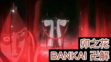 【死神Bleach】卯之花 BANKAI卍解-皆盡 | 經歷多年時間才知道她卍解的能力！| 卍解解說 |