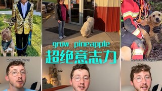 Nasib yang mempermainkan si anjing yang sangat suka makan: Anjing terbaik di dunia bulan Juni 🐶