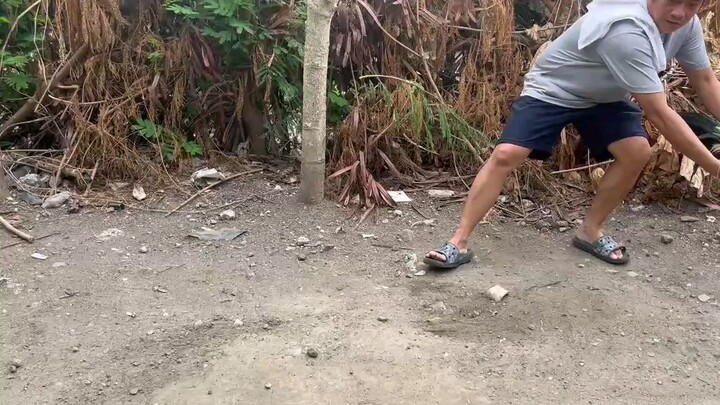 Pumpkin vs kanawayon