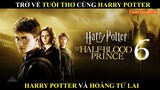 REVIEW PHIM HARRY POTTER VÀ HOÀNG TỬ LAI FULL HD ||TỔNG TÀI REVIEW