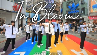 [ZB1] 为章昊庆生湾湾特翻 In Bloom