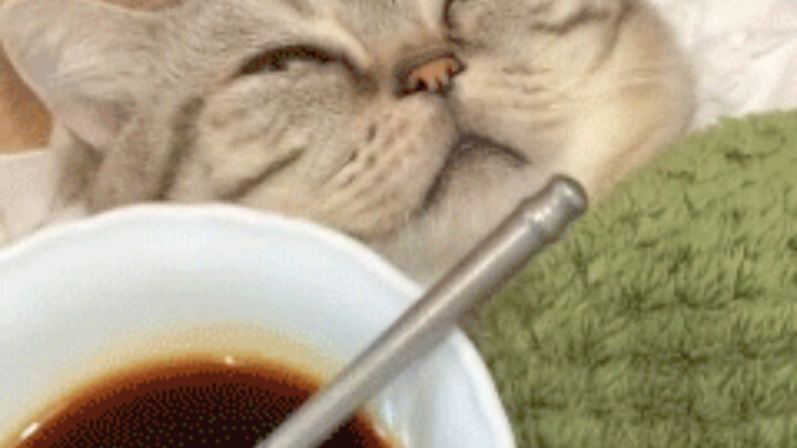 ฉันคิดได้ แต่ทำจริงไม่ได้ 😭 #เนื้อหาช่างเหมือนจริง #สภาพจิตใจดี #ตลก