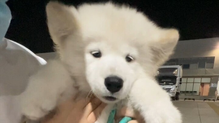 A new member has arrived home—now we’re the real winners in life!