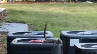 إسقاط القنابل بدقة هههههه