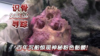 150年的沉船上，惊现神秘粉色骷髅头！《识骨寻踪》S06E06