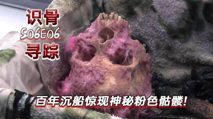 150年的沉船上，惊现神秘粉色骷髅头！《识骨寻踪》S06E06