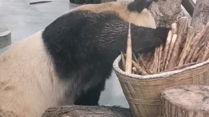 Lupakan saja, Om kasih tahu: minimal lima tahun, kalau kasusnya serius bisa sampai sepuluh.