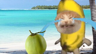 Jangan pernah tidur di bawah pohon kelapa! !