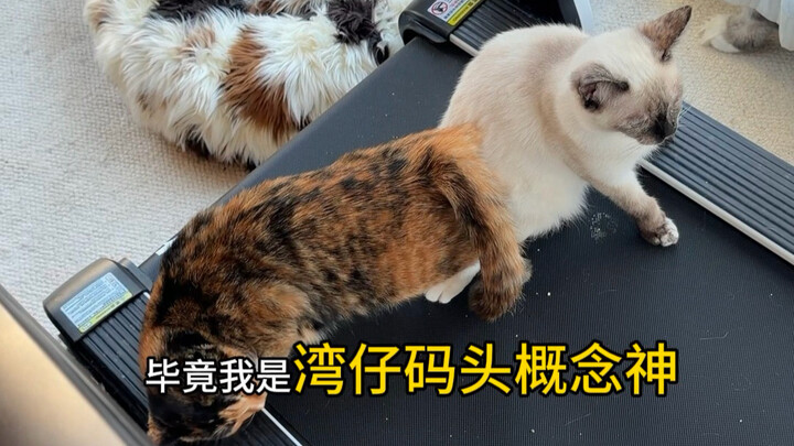 ฉันชัดเจนว่าเป็นเทพแห่งคอนเซปต์