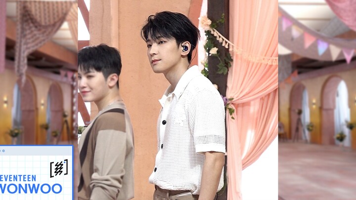 [SSSS CAM] SEVENTEEN - Darl+ing (WONWOO Ver.) @Comeback Show 'Face the Sun'