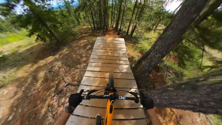 “日日重复同样的事，依循着与昨日无异的惯例。若能避开猛烈的欢乐，自然也不会有很大的悲伤来访”