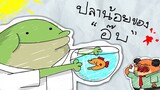 PASULOL โรงเรียนน้องกบ ตอน ปลาน้อยของอ๊บ