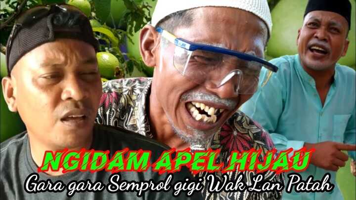 NGIDAM APEL HIJAU. GARA GARA SEMPROL GIGI WAK LAN PATAH #semprol82
