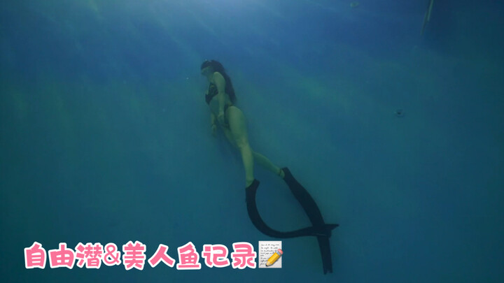 [Cập nhật kho] Nàng tiên cá và lặn tự do