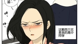 姐姐的爱情