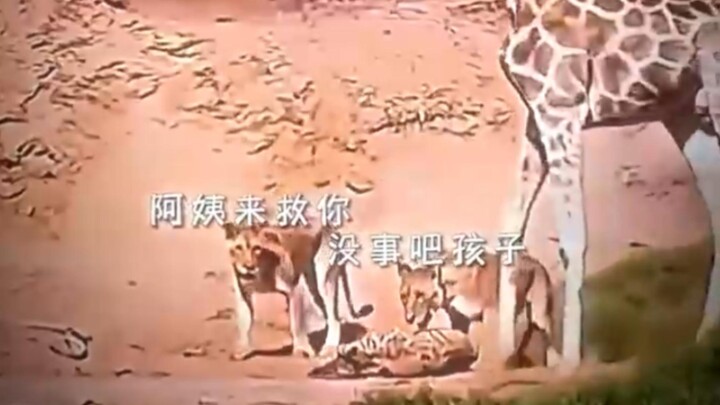 Tình yêu ngược chiều