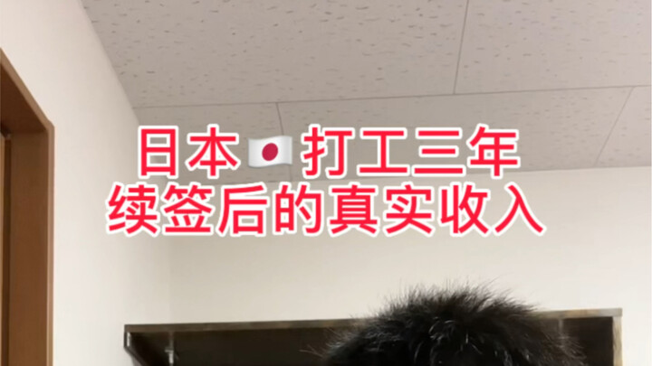 The real income of a vocational school graduate working part-time in Japan after renewing their visa