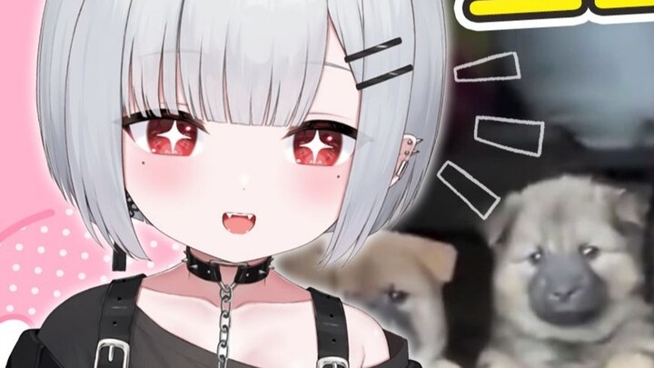 الشبح الصغير يراقب الكلب الصغير لطيف جداً [يوم المبتدئين V]