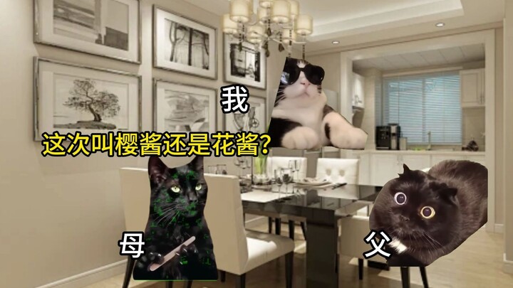 【Cat Meme】When I Told My Parents I Had a Girlfriend