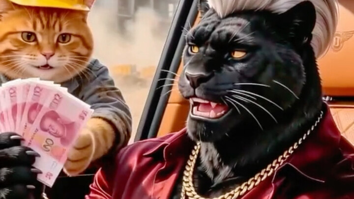 Kucing oranye di dunia persilatan, urusan manusia dan adat istiadat masih harus dipelajari