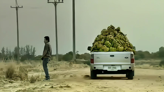 I only watch Thai ads.