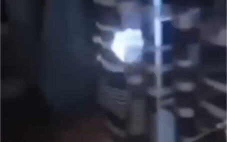 หลังฟ้าร้องฝนตก ก็มีเจ้าสิ่งนี้โผล่ขึ้นมา