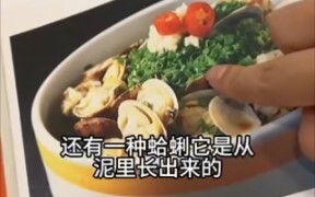 Fun Facts About Clams