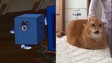 [Tom and Jerry] Tom and Jerry Ver.ชีวิตจริง