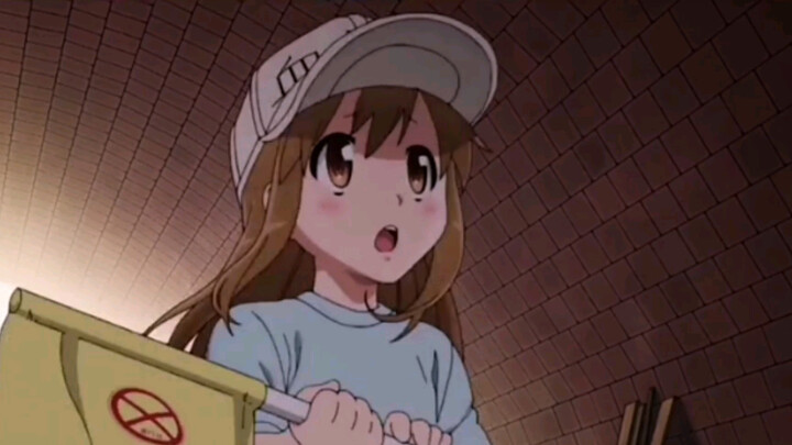 [MAD][AMV]Momen lucu di <Cells at Work!>|<Renai circulation>