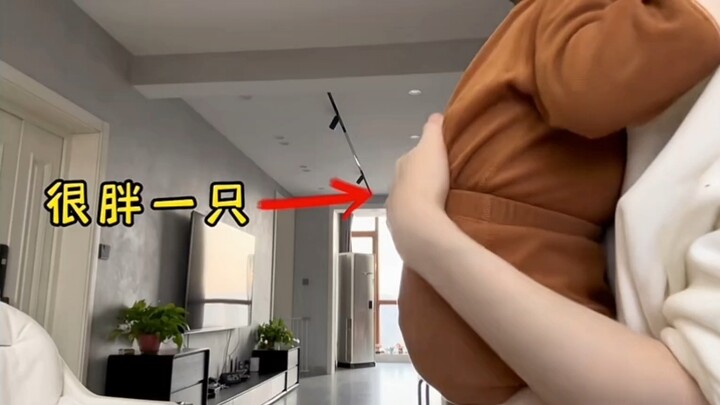 Little Warmth 2.0 in the Lady’s Arms