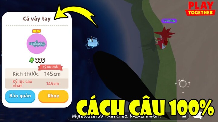 Cách Săn "Cá Vây Tay" Mới Thành Công 100% Cực Dễ, Time + Địa Điểm Dễ Lên Nhất | Play Together