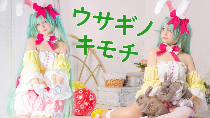 【Saya Scarlet】ウサギノキモチ ☆ 兔子舞(≧▽≦)