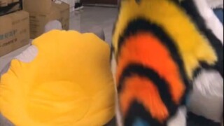 你干嘛？（开团求偶撅屁股）