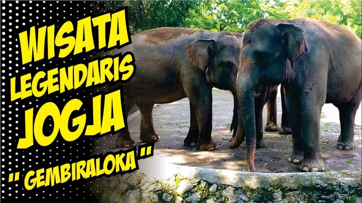 GEMBIRA LOKA ZOO JOGJA || WISATA KELUARGA AMAN DI TENGAH PANDEMI || WISATA LEGEND JOGJA 2020